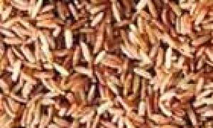 Что такое бурый рис и как его правильно сварить